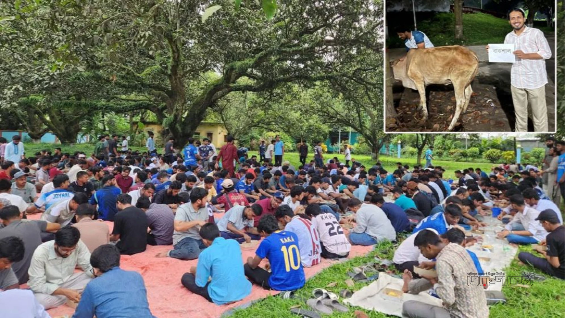 বাকশাল নামে গরু জবাই করে ‘জুলাই জিয়াফত’, রাকসু জিএস বললেন ‘ব্যক্তিগত আয়োজন’